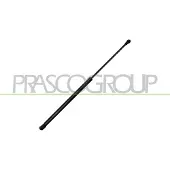 PRASCO ST0379055 Gasveer achterklep