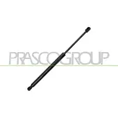 PRASCO CI3289055 Gasveer achterklep