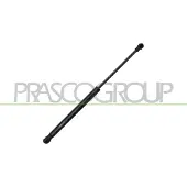 PRASCO DW3249055 Gasveer achterklep