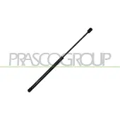 PRASCO MN3089055 Gasveer achterklep