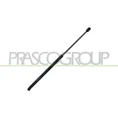PRASCO VG0259055 Gasveer achterklep