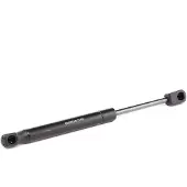 RIDEX 219G0260 Gasveer achterklep