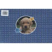 Ballon Kids Toonbankbox-24ex dierenvriendjes (4t x 6ex)