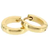 Kalli edelstalen Oorbel shiny rond 1897 Goud 10mm