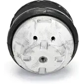 Delphi TEM132 Motorsteunlager