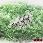 Oxyturbo CO2 aquarium 3-weg verdeler, naaldventielen, 4/6mm, koppelbaar