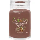 Yankee candle Kamergeuren Geurkaarsen Praline & Birch