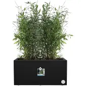 Elho Bak vivo next L80cm zwart