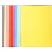 Exacompta Forever Sorteermap A4 Kleurenassortiment Manila 100% gerecycled 170 g/m² 100 Stuks