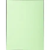 Exacompta Subfolder Forever A4 Lichtgroen (100 Stuks)