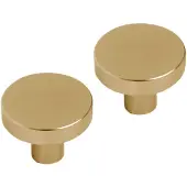 Differnz Amsterdam knop - 30 mm - goud