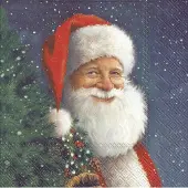 IHR Lunch servetten - Santa Is Waiting For x-mas