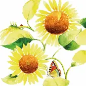 Ppd - Lunch servetten - Sunflowers