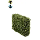 Emerald - Kunstplant Buxus haag UV 70x20x50cm - Kunstplant voor binnen