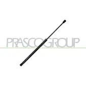 PRASCO DS0119055 Gasveer achterklep