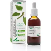 Sidroga Gesellschaft für Gesundheitsprodukte mbH Soria Natural Betula Pendula XXI 50 ml Oplossing
