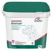 Primeval Gelatinaat Hond