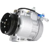 RIDEX 447K0010 Aircopomp