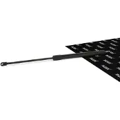 RIDEX 514G0032 Gasveer motorkap