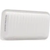 RIDEX 8A0028P Luchtfilter