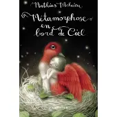 FLAMMARION Métamorphose en bord de ciel