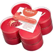 Bolsius - Maxilichten True Scents - Granaatappel Clearcup (1011815)