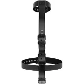 Bedroom Fantasies Halsband Met Polsboeien Body Restraint Set - Zwart