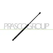 PRASCO RN7009055 Gasveer achterklep