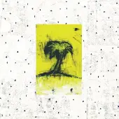 Konkurrent Songs: Ohia - Impala (LP)