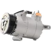 RIDEX 447K0551 Aircopomp