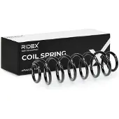 RIDEX 188C2389 Chassisveer