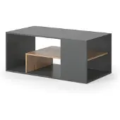 Vicco Edgar Salontafel – 110 x 59 cm Antraciet/gouden eik