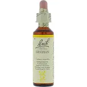 Bach Gentian/gentiaan