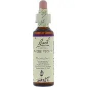 BACH ORIGINAL Bach Bloesem Water Violet (20ml)