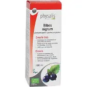 Physalis Ribus Nigrum Plantendruppels Bio