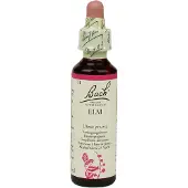 BACH ORIGINAL Bach Bloesem Elm (20ml)