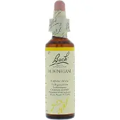 Bach Bloesem No 17 Hornbeam 20 ml Druppels