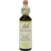 Bach Flower Remedies Kamperfoelie 16