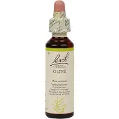 BACH ORIGINAL Bach Bloesem Olive (20ml)