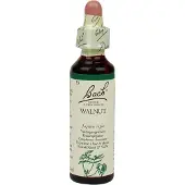 Bach Bloesem Walnut (20ml)