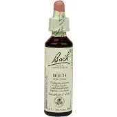 BACH ORIGINAL Bach Bloesem Beech (20ml)