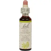 BACH ORIGINAL Bach Bloesem White Chestnut (20ml)