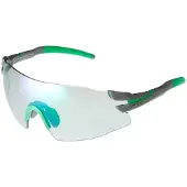 Sinner Zonnebril Sinner Unisex Prospects Grey Green Trans+ Green