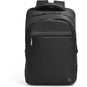 HP Professional 17.3-inch Backpack 500S6AA