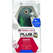 Versele-Laga Plus Plus Gerry - Duivenvoer - 20 kg