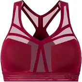 Hästko | Bra No. 38 | Sport-BH