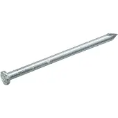 Homefix Draadnagel Vz Pk 2.4X50 | 100 gram - 6701.40.10110