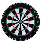 Longfield Darts Dartbord 2,5 cm met 6 darts Dartbord