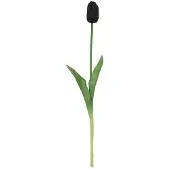 Countryfield Kunstbloem tulp Zwart 10x10x47cm