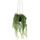 Countryfield Kunstplant Peperomia groen-hoogte 45 cm